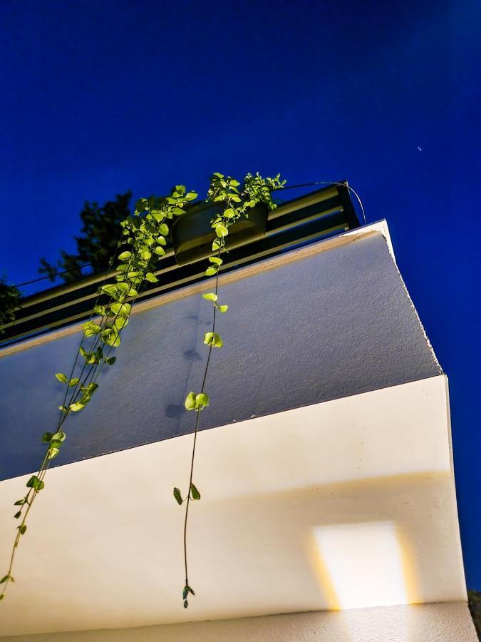 Residence ǁ Corino Biograd Na Moru Eksteriør bilde